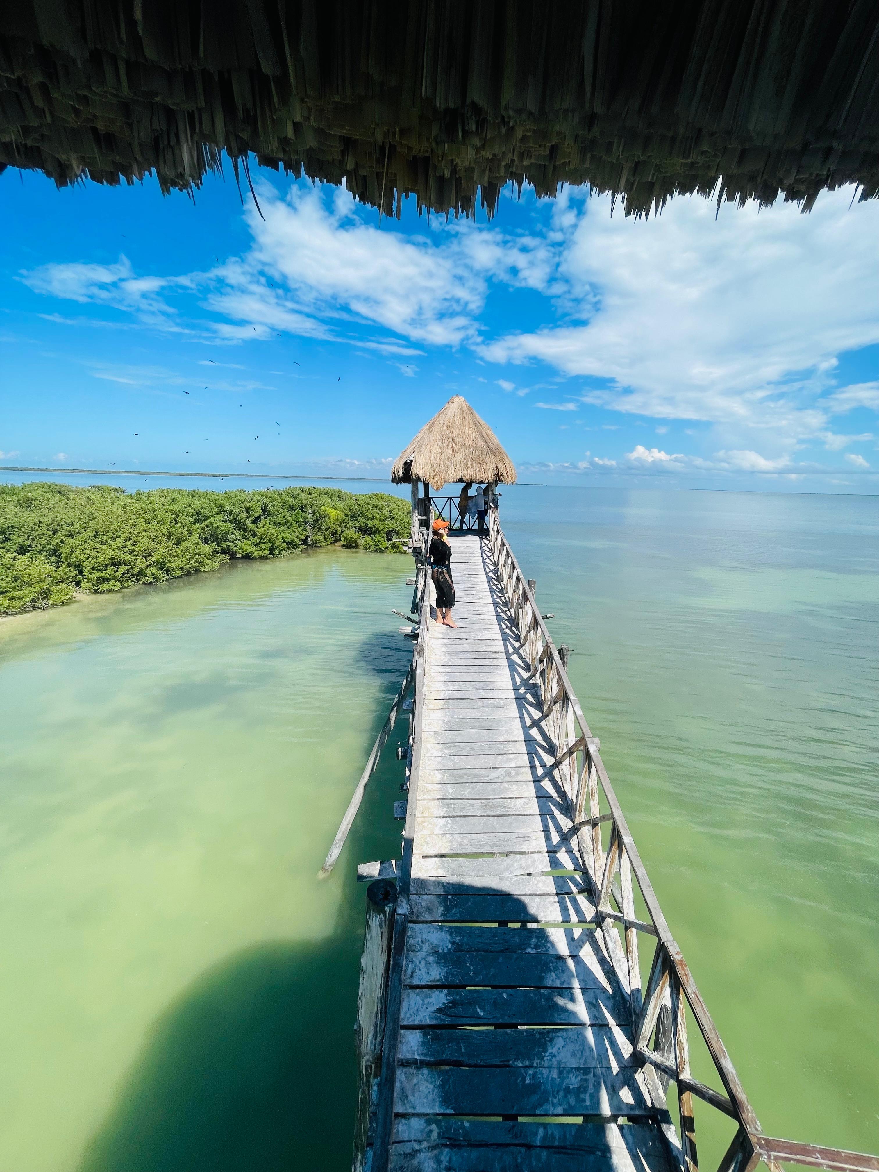 Holbox Plus + Cenote