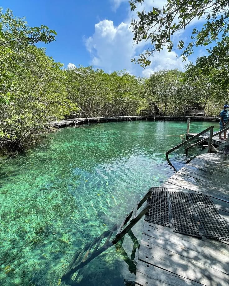 Holbox Plus + Cenote