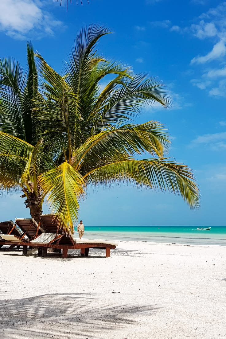 Holbox Plus + Cenote