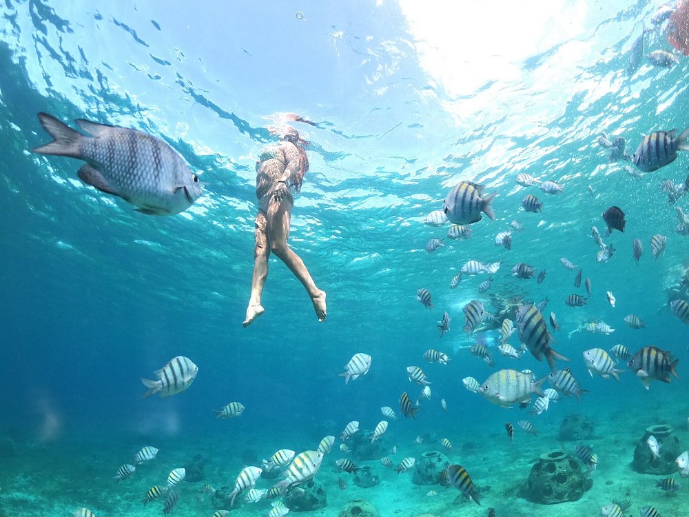 Cozumel Combo Cielo & Clear Boat