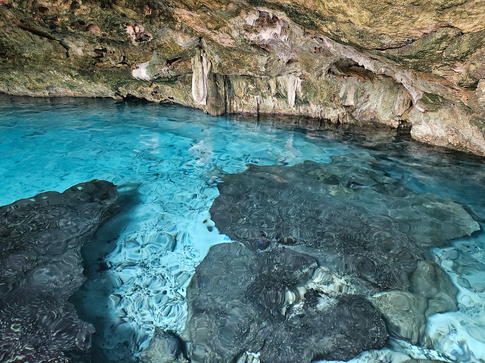 Tulum + Cenote Dos Ojos