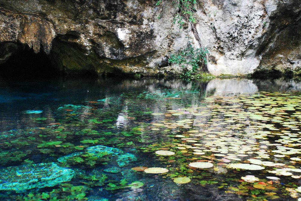Tulum + Cenote Dos Ojos