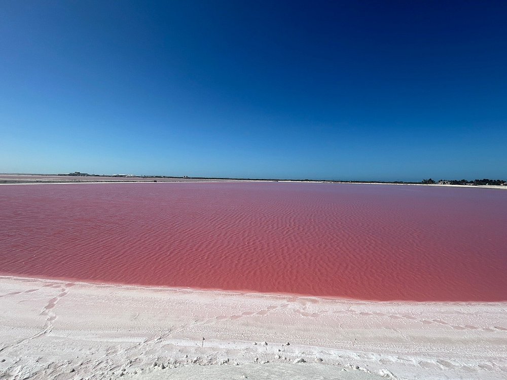 Coloradas y Rio Lagartos
