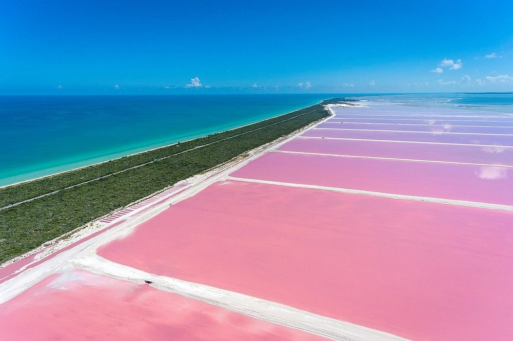 Coloradas y Rio Lagartos