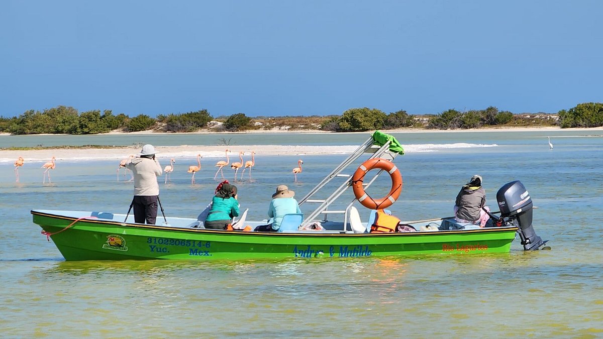 Coloradas y Rio Lagartos